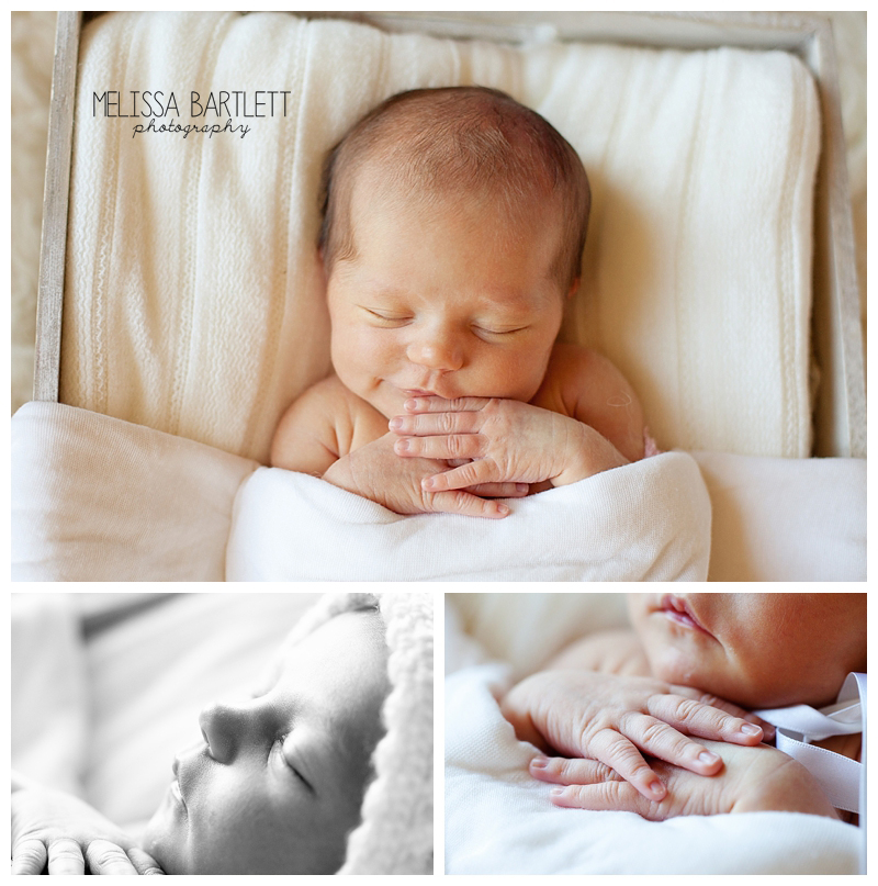 MelissaBartlettPhotography-bay area newborn photographer_0045