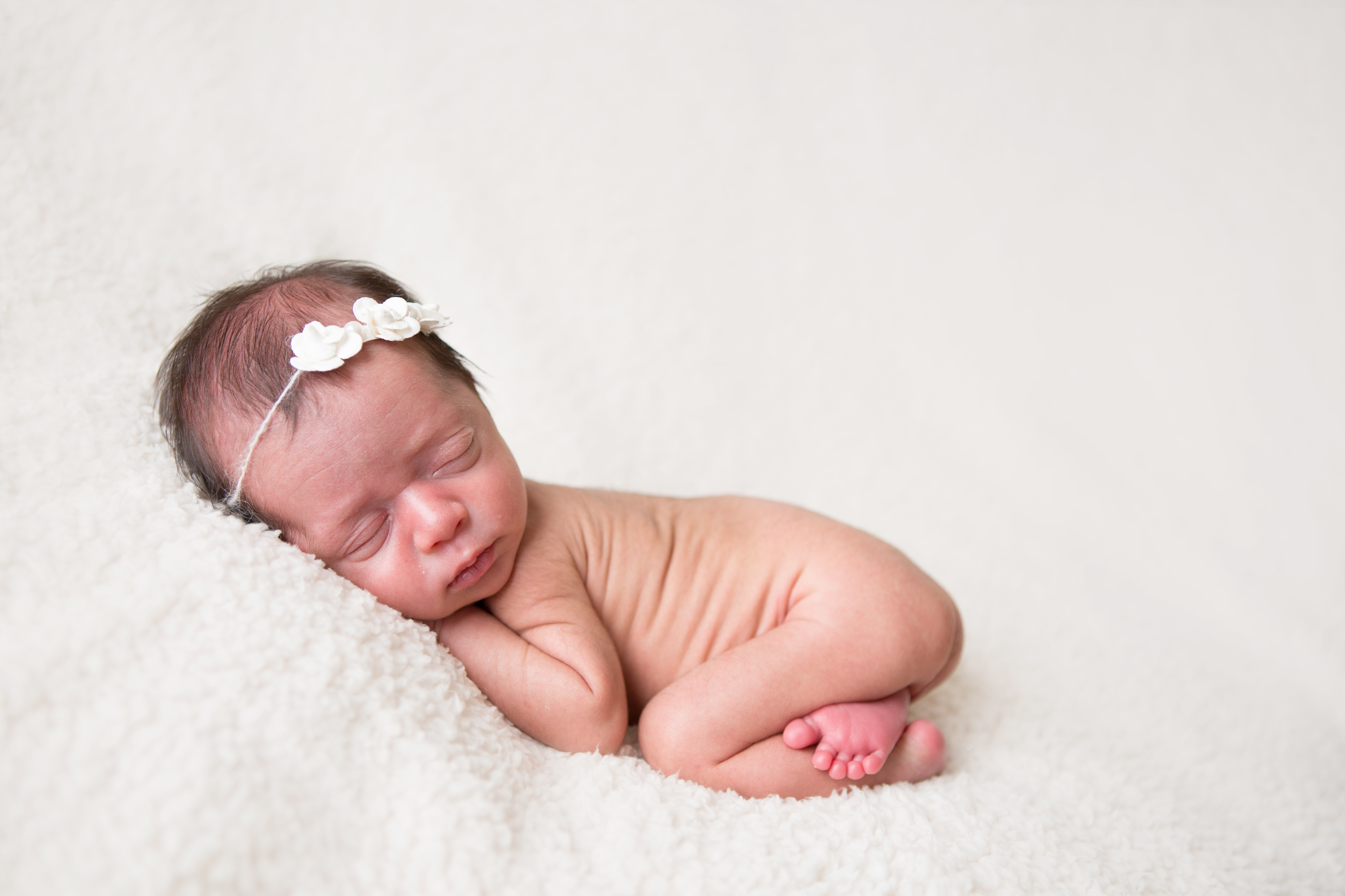 lafayette CA newborn photographer