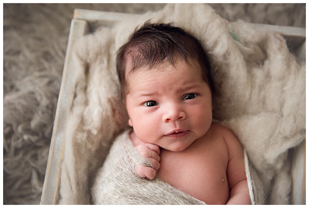 San Francisco Bay Area Newborn Photograher 1