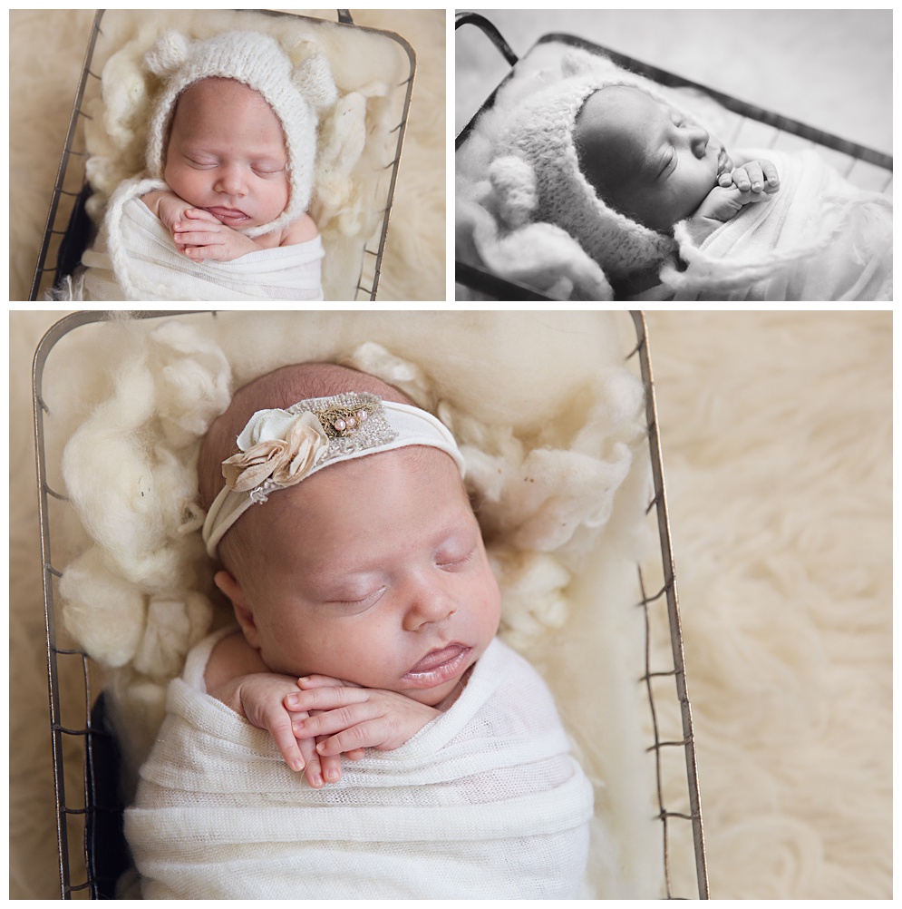 San Francisco Bay Area Newborn Photographer-MBP2016_0690