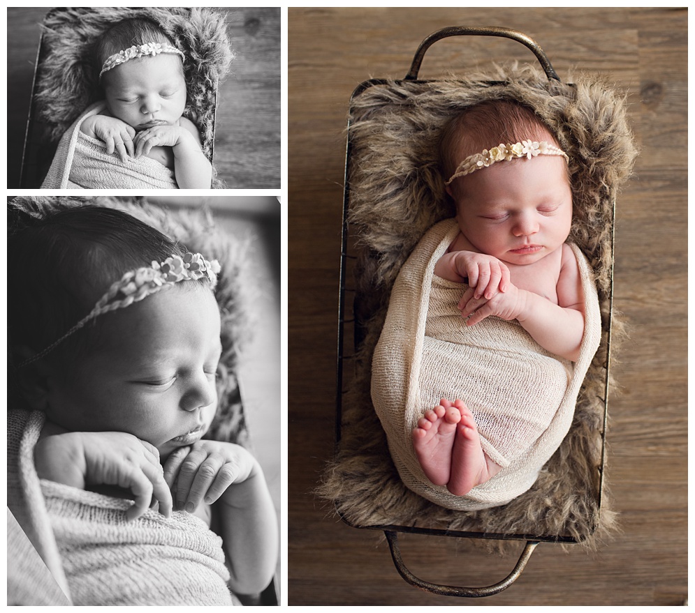 San Francisco Bay Area Newborn Photographer-MBP2016_0815