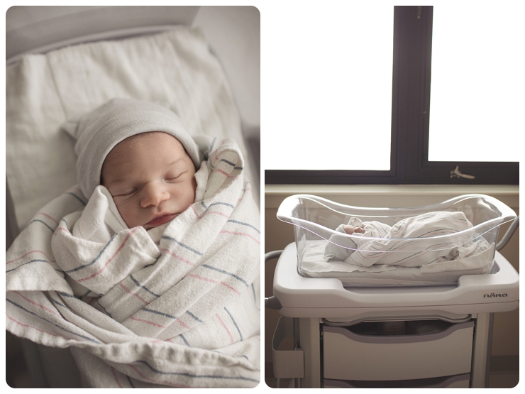 san francisco newborn photographer